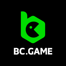 Comprehensive Insights and Reviews Bc App