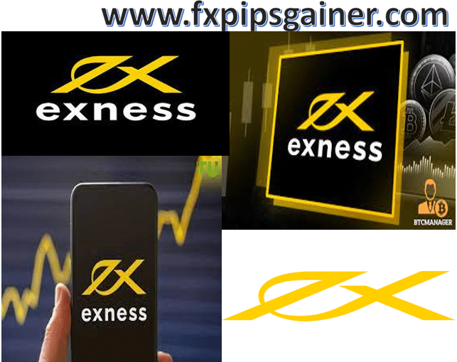 Understanding Local IB Exness Your Guide to Forex Trading