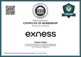 Understanding Local IB Exness Your Guide to Forex Trading